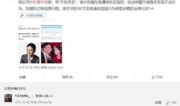 王思聪爆料事件刘强东视频,真相与争议